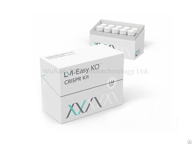 Dna Methylation Kits