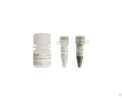 Mouse Genotyping Kit