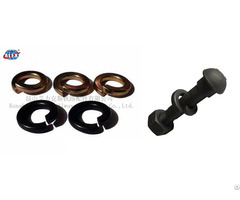 Lock Washer For Rail Joints