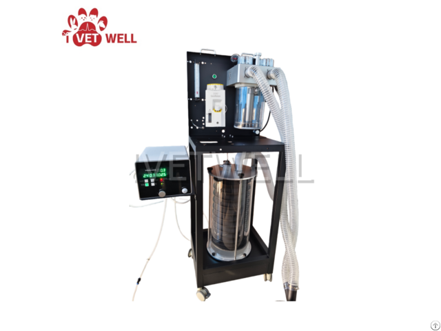 Large Vet Anesthesia Machine With Ventilator Model Ivt 560g