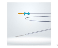 Disposable Cytology Brushes