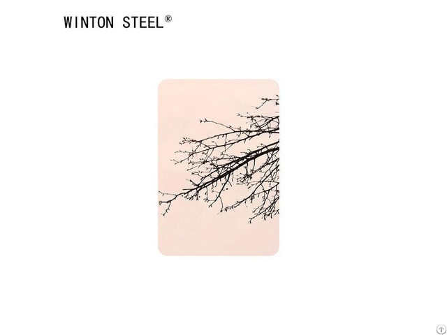 Mirror Stainless Steel Sheet