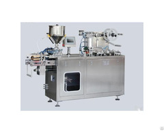 Rydpp 150f Flat Type Pvc Blister Packaging Machines