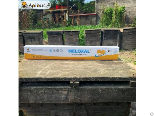 Meloxal High Dose Oxalic Acid Strips