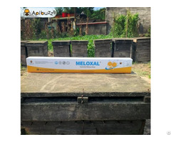 Meloxal High Dose Oxalic Acid Strips