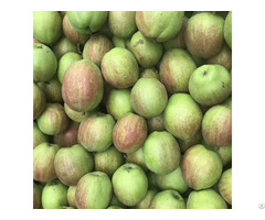 Kuerle Fragrant Pear