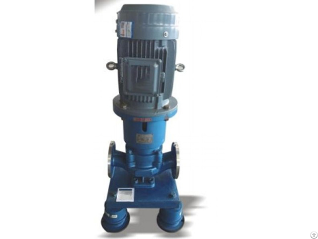 Rynmq Stainless Steel Magnetic Vertcial Pump