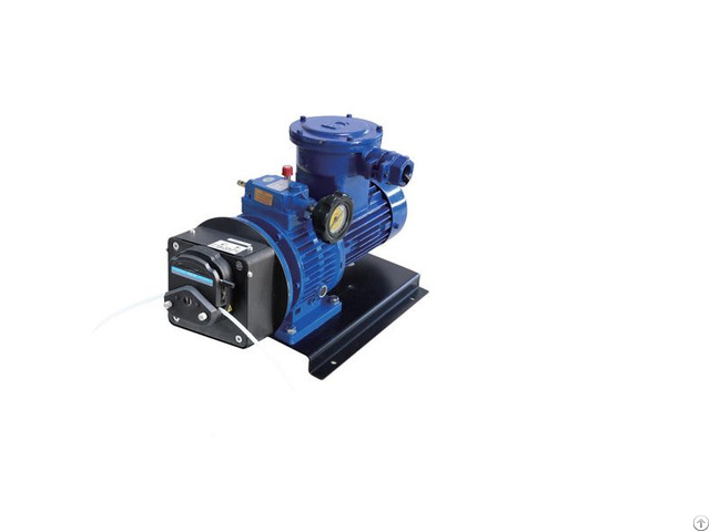 Ryfg600s W3 Explosion Proof Peristaltic Pump