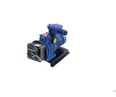 Ryfg600s W3 Explosion Proof Peristaltic Pump