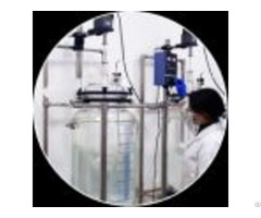 Custom Peptide Synthesis Services