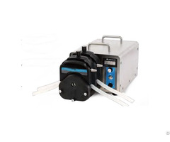Rywg600s Industrial Speed Variable Peristaltic Pump Device