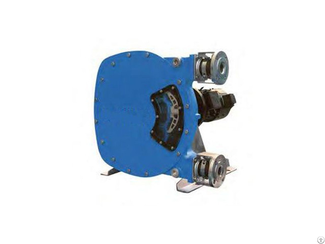 Ryjp100s Batch Transfer Peristaltic Pump Devices