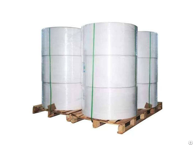 Thermal Label Sticker Jumbo Roll