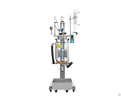 Rygrl 20l Lifting Glass Reactor