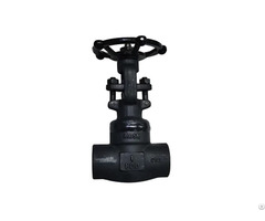 Forged Steel Gate Valve Manufacturer