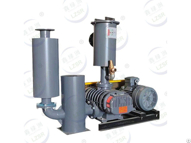 Roots Vacuum Pump Manufacturer