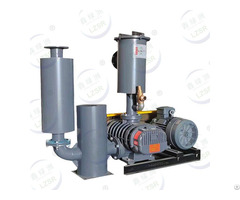 Roots Vacuum Pump Manufacturer