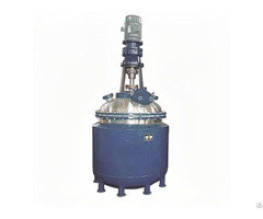 Rybld Stainless Chemical Reactor