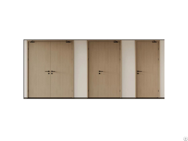 Steel Wood Composite Fire Door