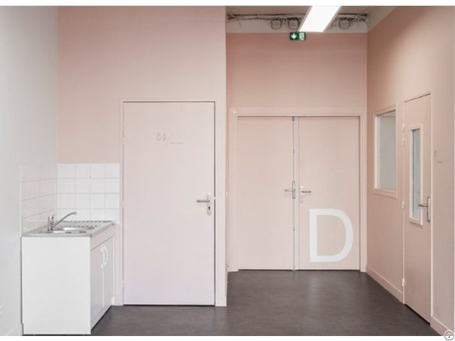 Lhsh Double Fire Safety Door