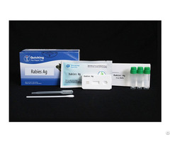 Rabies Virus Ag Rapid Test