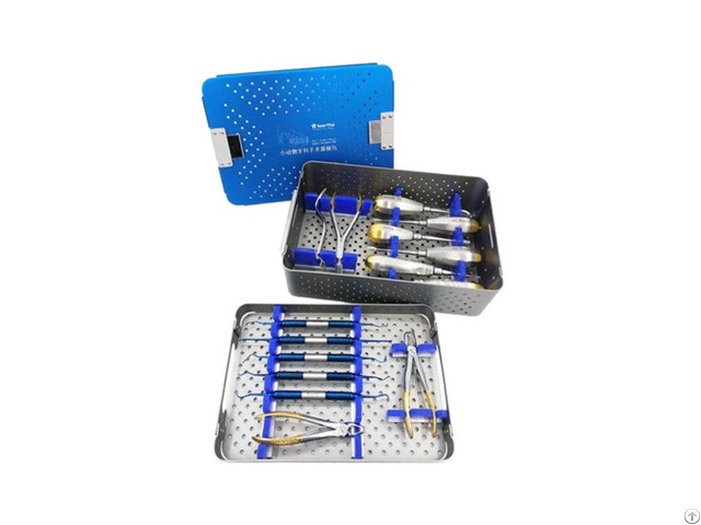 Small Animal Dental Instruments Set