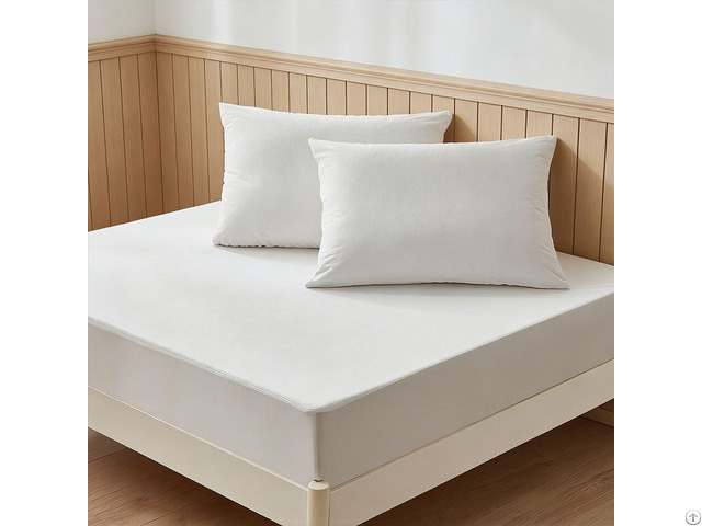 Professional Oem Supplier Breathable Soft Terry Waterproof Mattress Protector