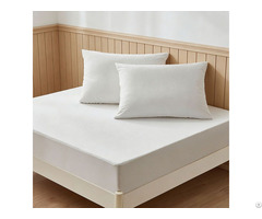 Professional Oem Supplier Breathable Soft Terry Waterproof Mattress Protector