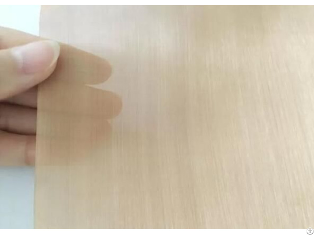 Phosphor Bronze Woven Wire Meshs