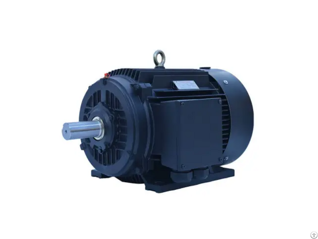 Iec Frame Synchronous Motors