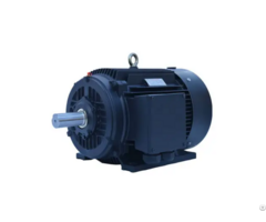 Iec Frame Synchronous Motors