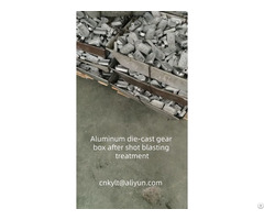 Aluminum Die Cast Gear Box After Shot Blasting Treatment