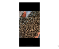 Plastic Scrap