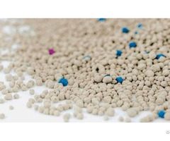 Bentonite Vs Tofu Cat Litter