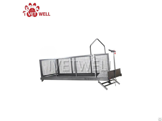 High End Electric Incline Pet Treadmill Series Enhancing Pets Physical Performance And Vitality