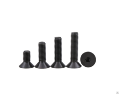 Din 7991 Hexagon Socket Countersunk Head Screws