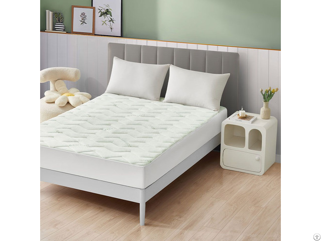 Anti Bacterial Hypoallergenic Bed Bug Proof Waterproof Mattress Protector
