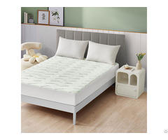 Anti Bacterial Hypoallergenic Bed Bug Proof Waterproof Mattress Protector