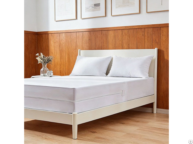 Noiseless Zippered Bed Bug Terry Waterproof Mattress Encasement