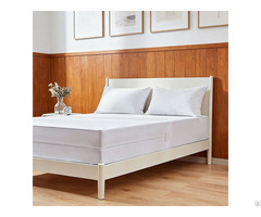 Noiseless Zippered Bed Bug Terry Waterproof Mattress Encasement