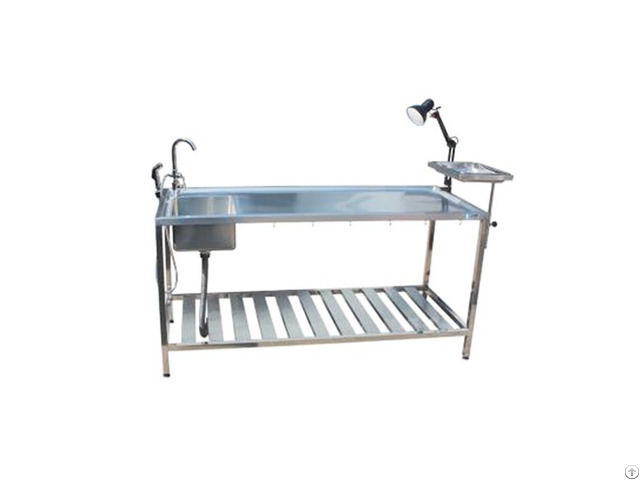 Veterinary Anatomy Table