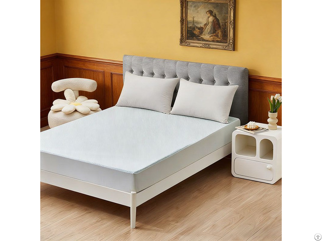 Plain Style King Size Anti Dust Mite Cooling Waterproof Mattress Protector