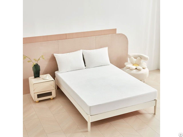 Washable Fitted Sheet Anti Dust Mite Coral Fleece Mattress Protectors