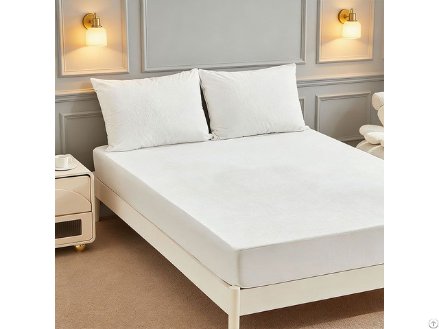 Anti Bed Bug Waterproof Coral Fleece Mattress Protector