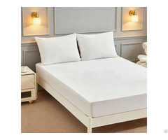 Anti Bed Bug Waterproof Coral Fleece Mattress Protector
