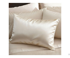 Various Colors Luxury 100% Silk Pillowcase For Bedding Set