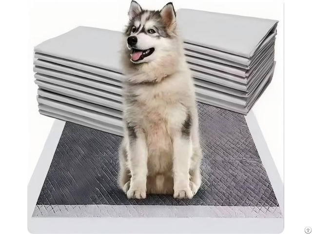 Activated Charcoal Pet Pads Training Puppy Pee Mats For Dogs