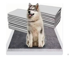 Activated Charcoal Pet Pads Training Puppy Pee Mats For Dogs