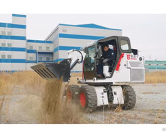 Swing Loader