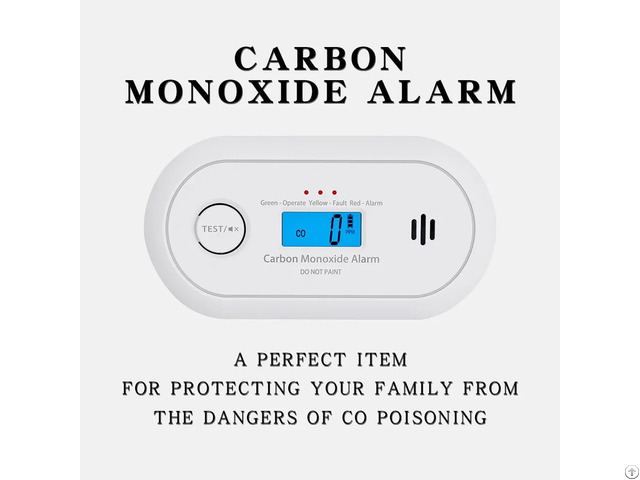 Portable Carbon Monoxide Detector